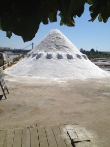 Aveiro saltpile